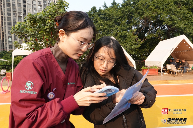 《福州市城市养犬管理条例》施行一周年 管理机制初步健全