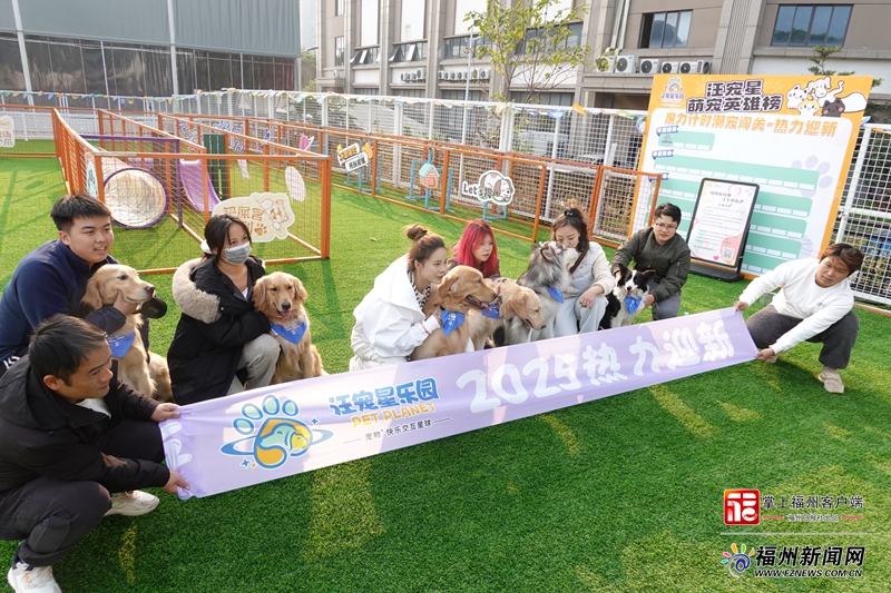 《福州市城市养犬管理条例》施行一周年 管理机制初步健全