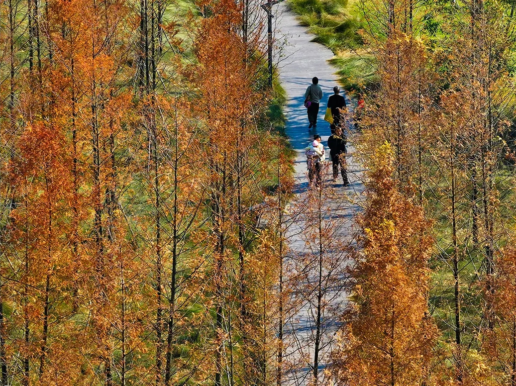 新年，到福州开启赏花之旅！