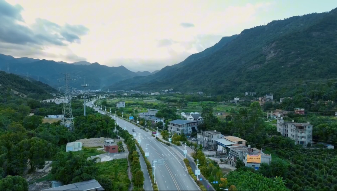 旗山变“金山”！福州高新区这个基地，林下种着“金草”