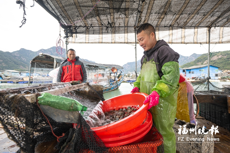 罗源圣塘村：向海而生 扬帆振兴