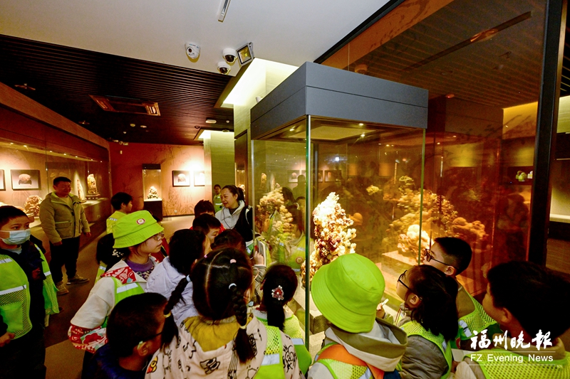 福州晚报写作训练营走进中国寿山石馆