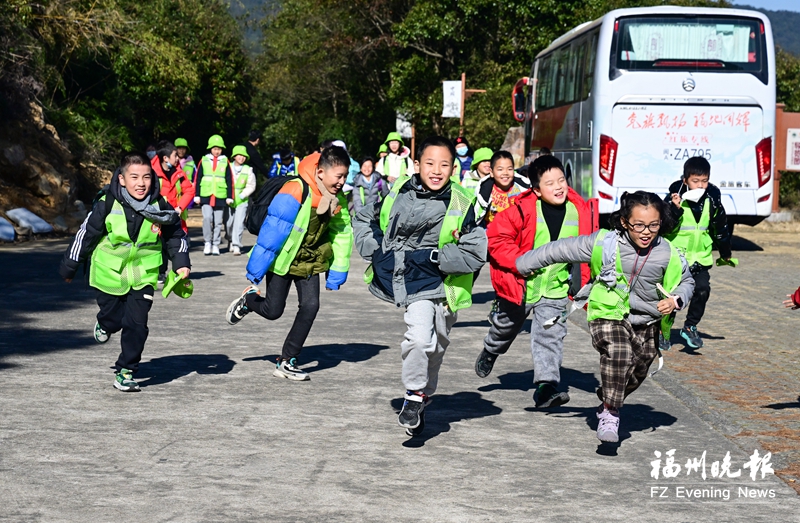 福州晚报写作训练营走进中国寿山石馆