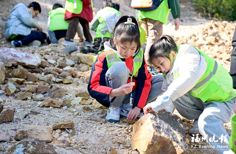 福州晚报写作训练营走进中国寿山石馆