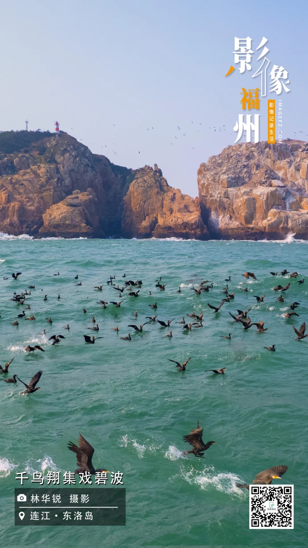 影像福州｜千鸟翔集戏碧波