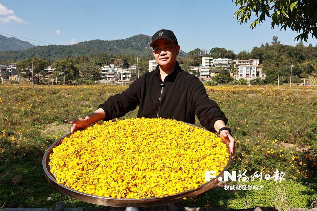 且以新质赋山海 海连江品牌如何“出山、出海、出圈”