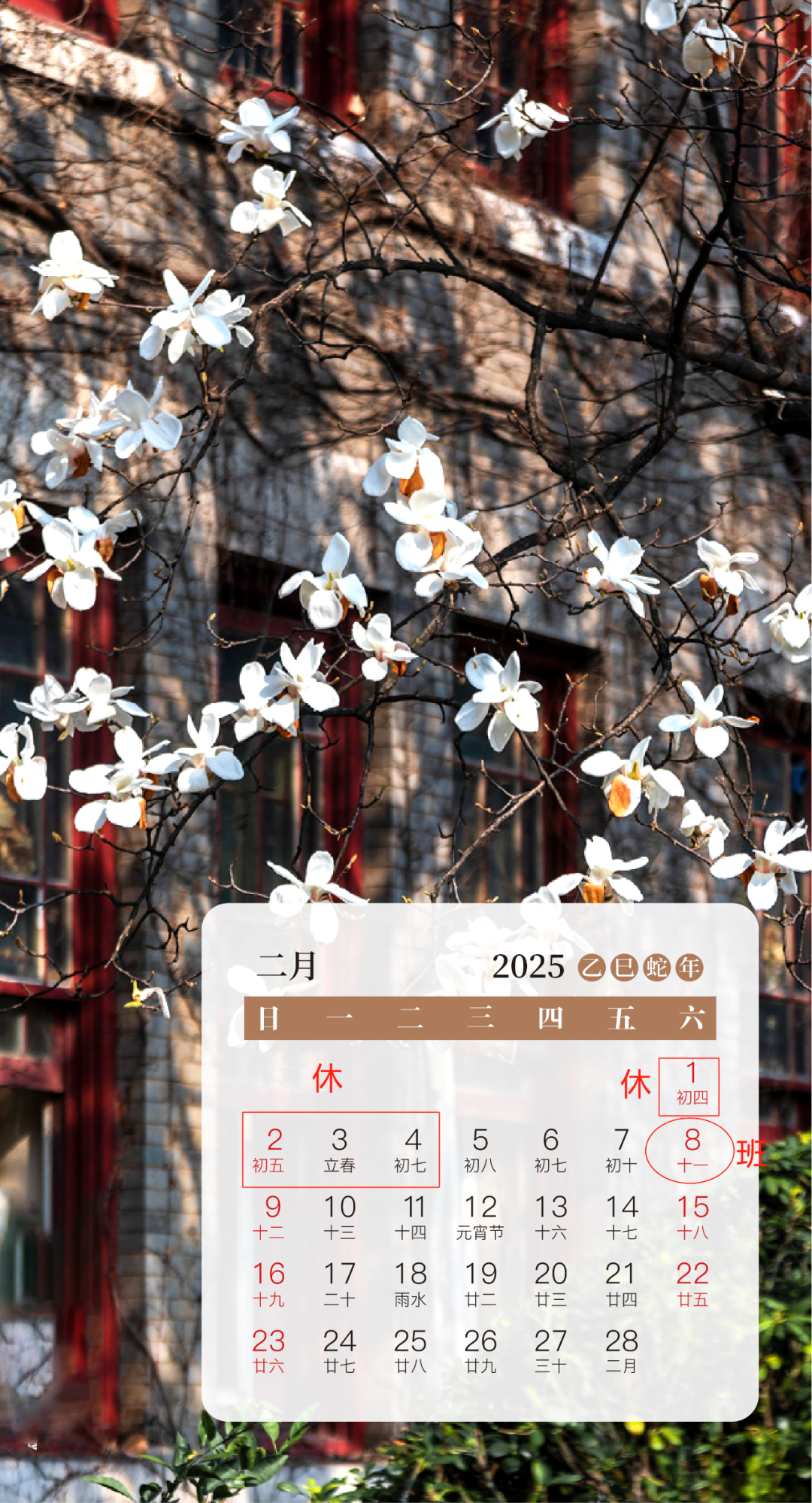 注意！上班时间有变！