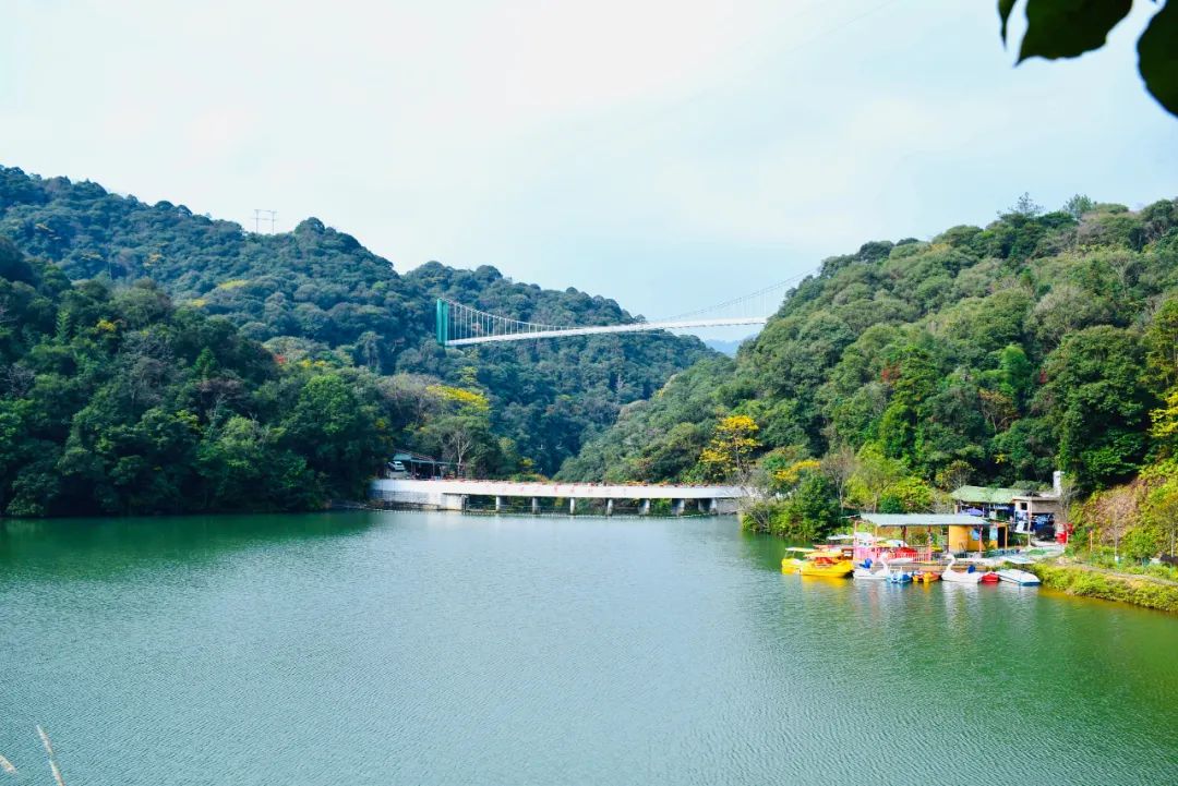 飞云峡景区获评国家3A级景区