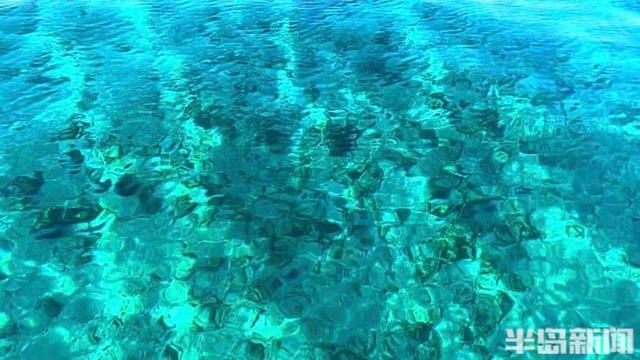 买下日本70万平米小岛的女子咋样了