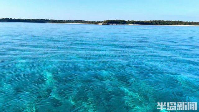 买下日本70万平米小岛的女子咋样了