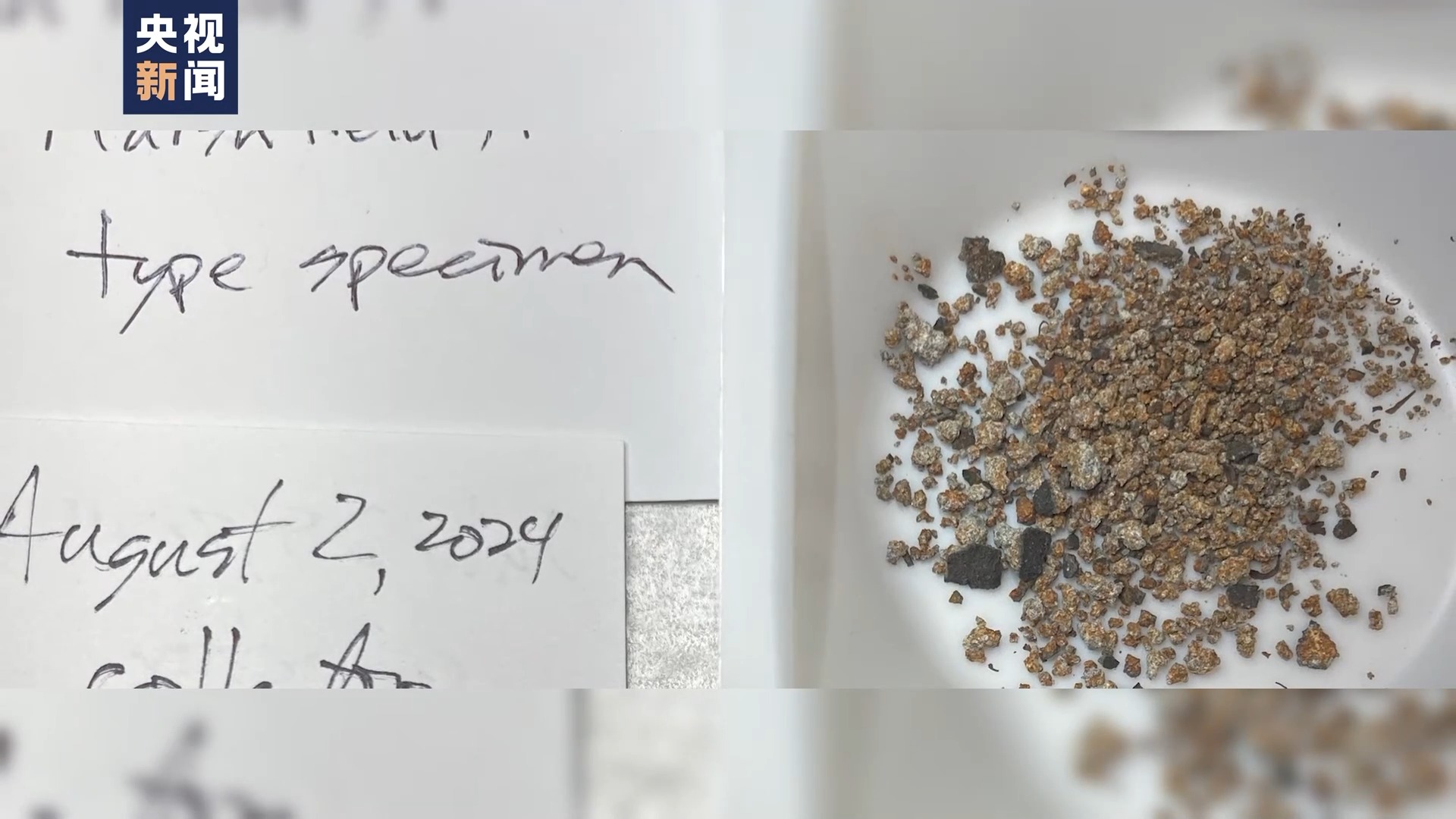 门铃摄像头完整记录陨石落地，或是人类首次？视频来了→