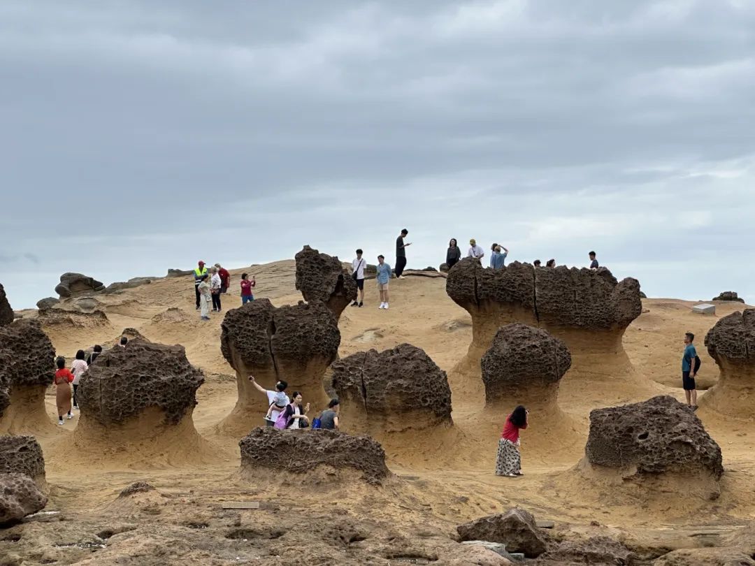 赴臺團(tuán)隊(duì)游,，福建、上海約起來,！