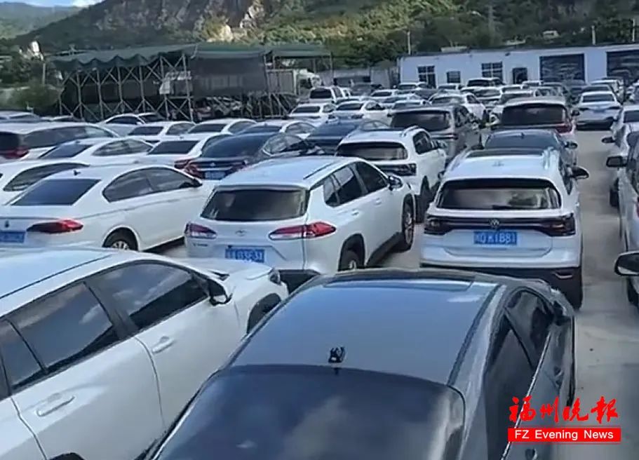 大涨超200%！部分已预订一空！福州王先生：还好下手早