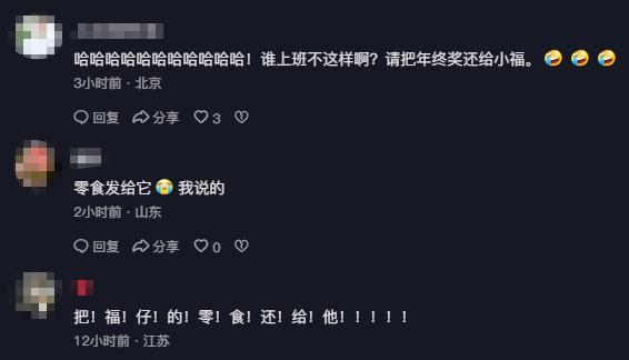 警犬因“班味过重”惨遭没收年终奖