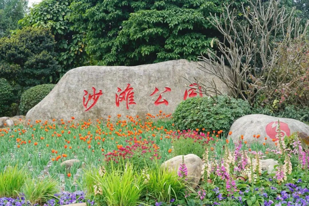 即将全面盛放！福州这里超美！