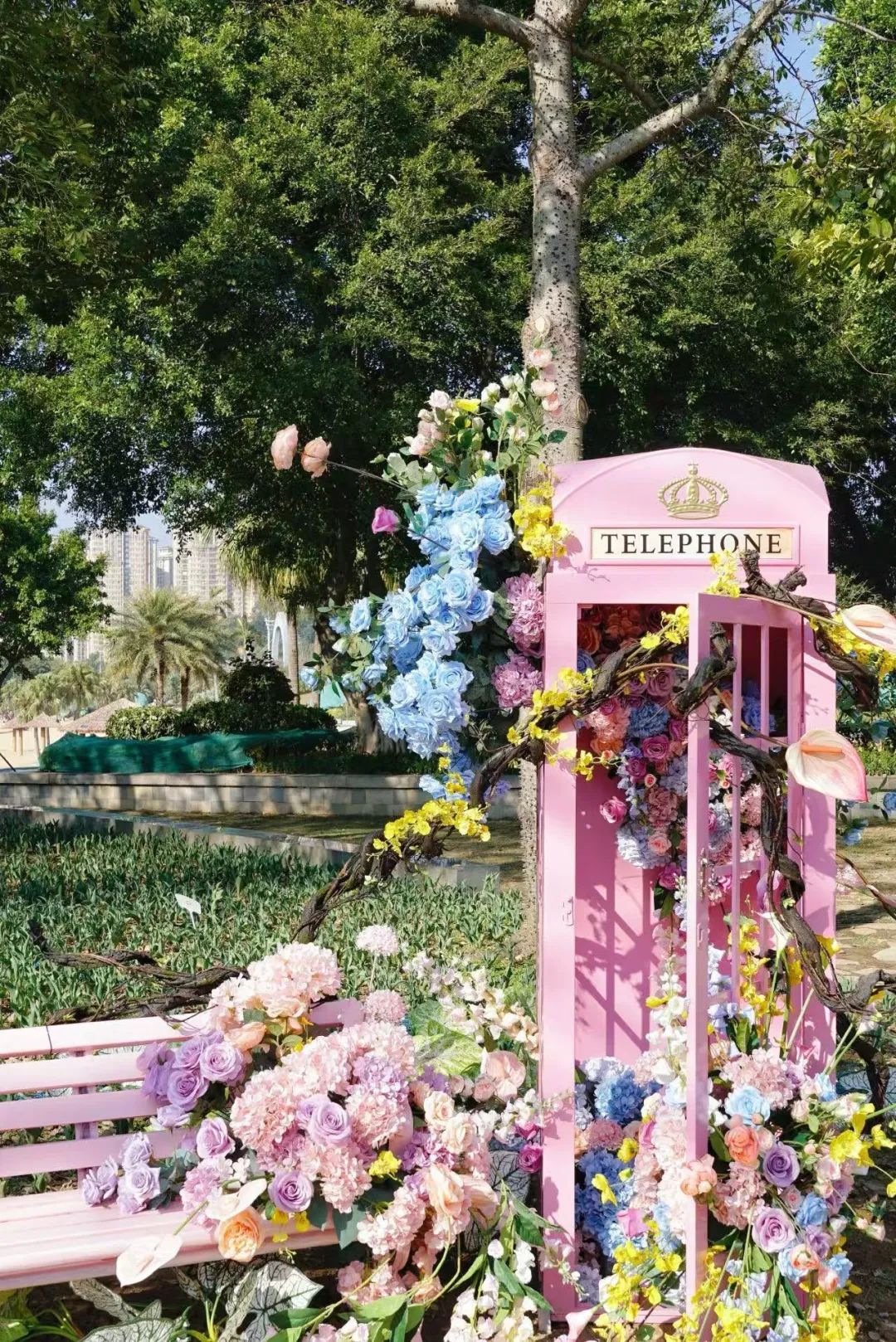 即将全面盛放！福州这里超美！