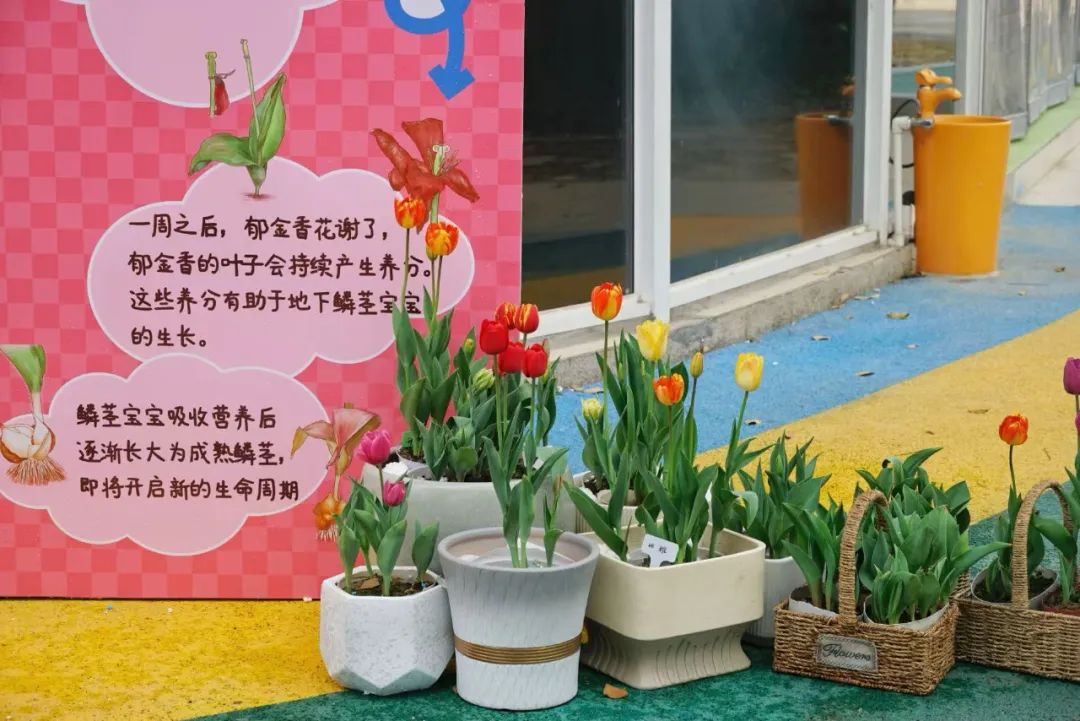 即将全面盛放！福州这里超美！