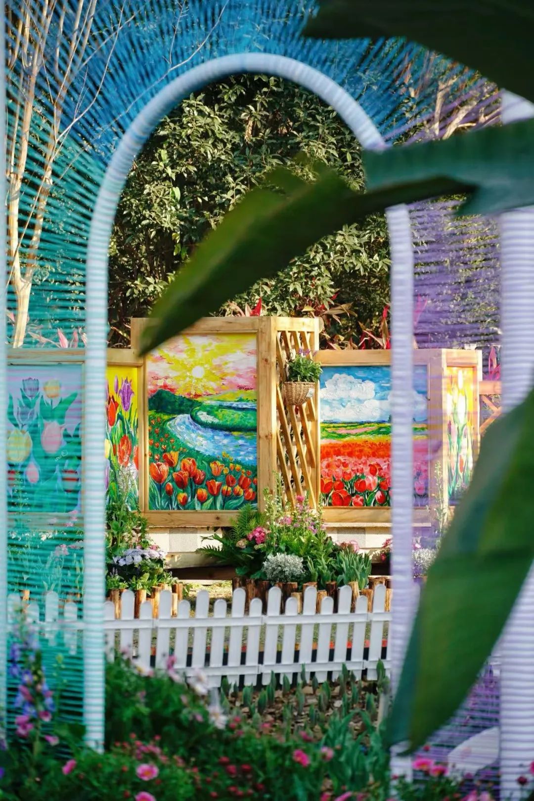 即将全面盛放！福州这里超美！