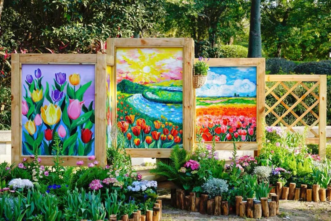 即将全面盛放！福州这里超美！