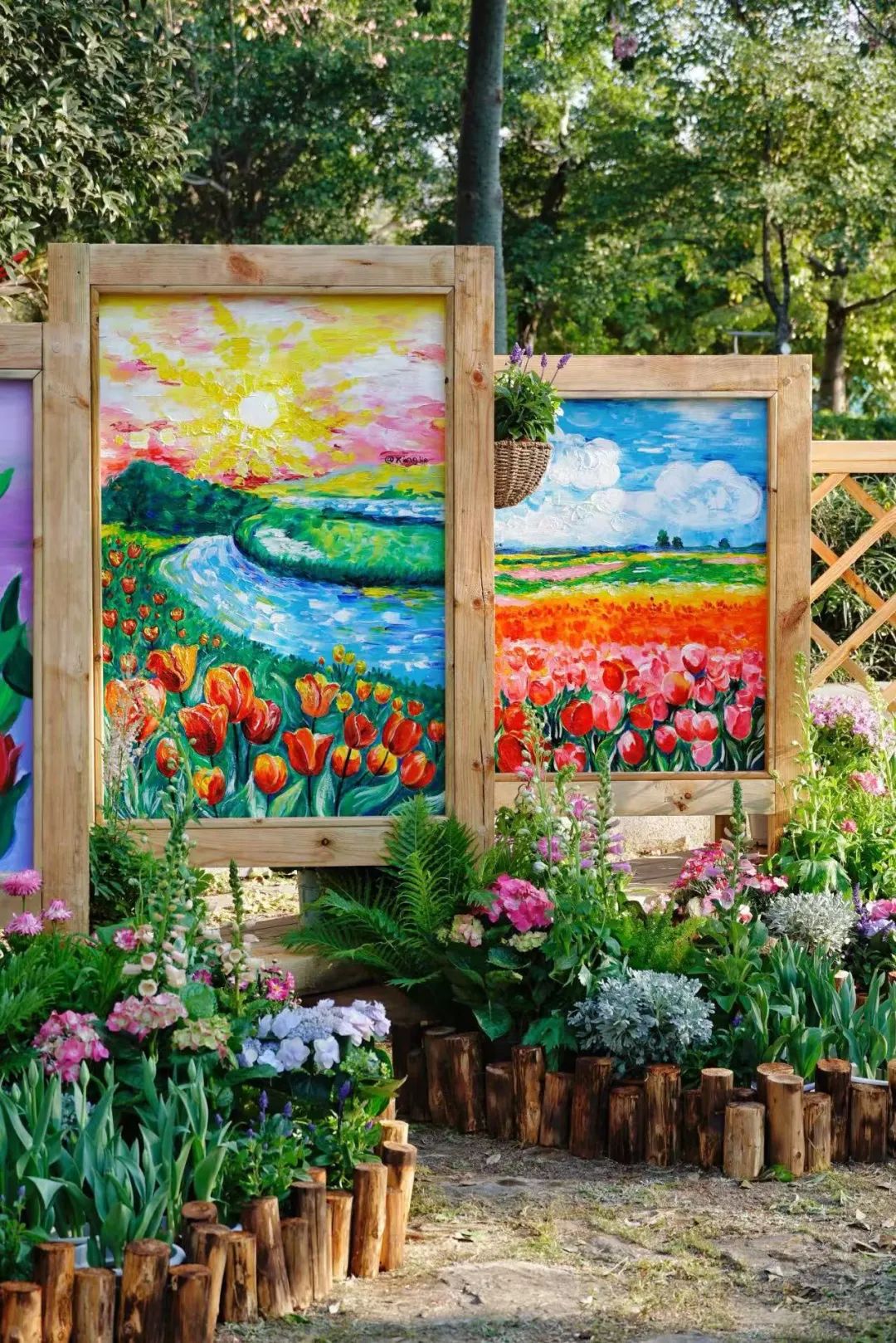 即将全面盛放！福州这里超美！