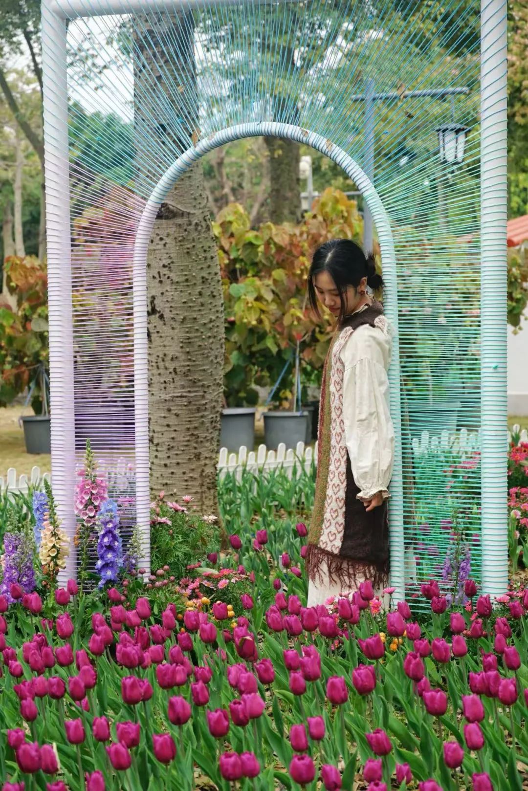 即将全面盛放！福州这里超美！