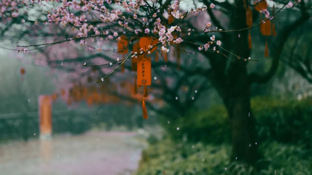 蠢蠢欲动！看福州这个“新年搭子”，再挤也要去