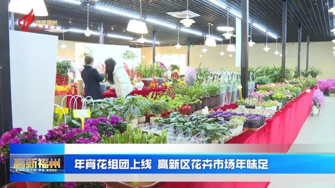 “乡”约高新有“福”味，邀你精彩过大年！