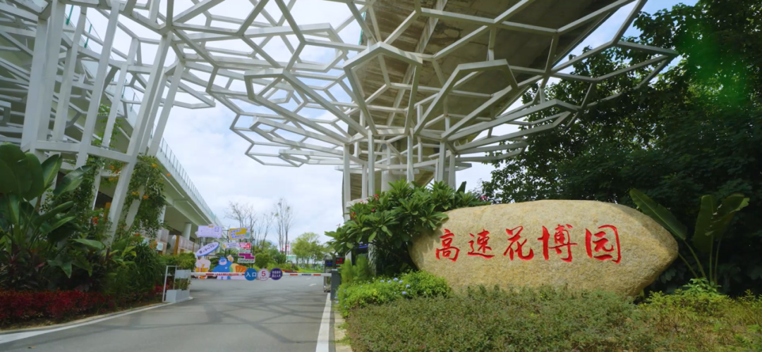 “乡”约高新有“福”味，邀你精彩过大年！