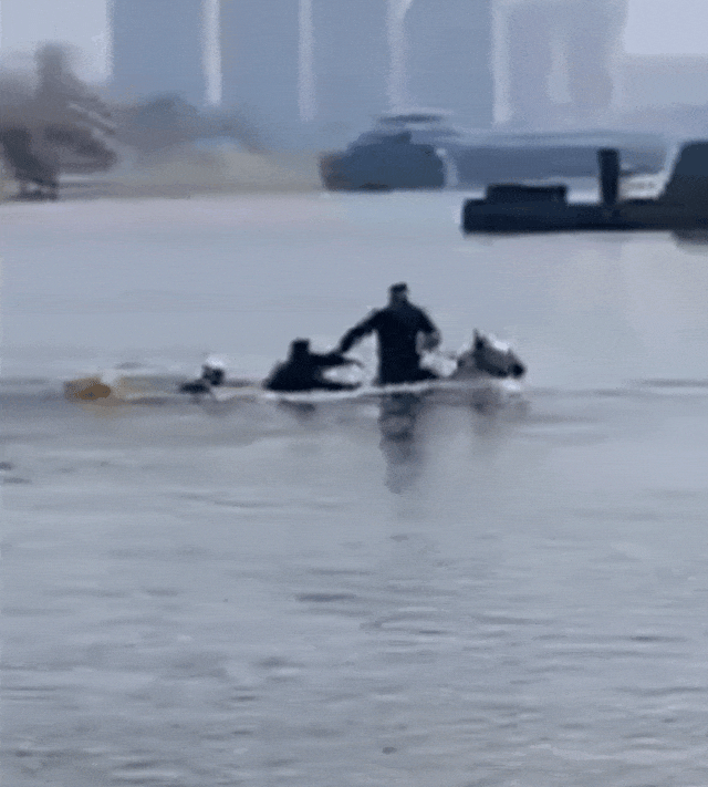 “白龙马”与主人救人后发烧到40℃