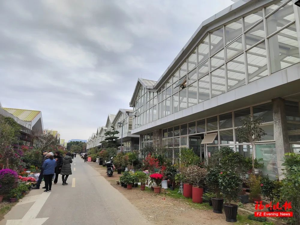 福州这座大型花卉市场拆除重建！未来将……