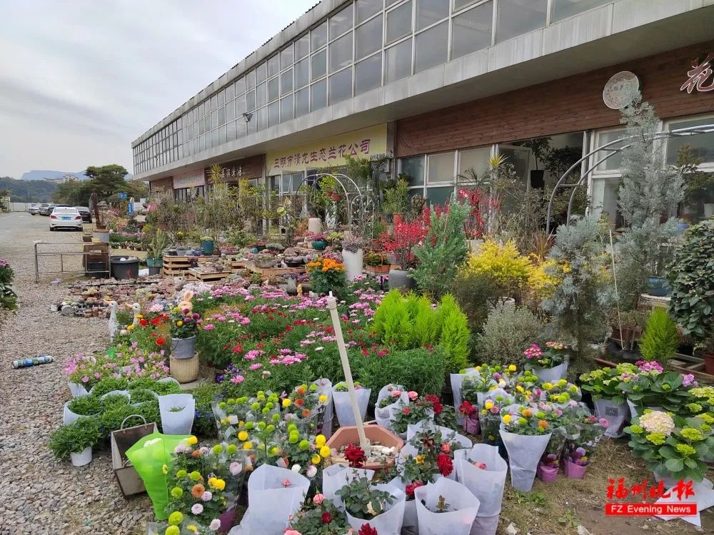 福州这座大型花卉市场拆除重建！未来将……