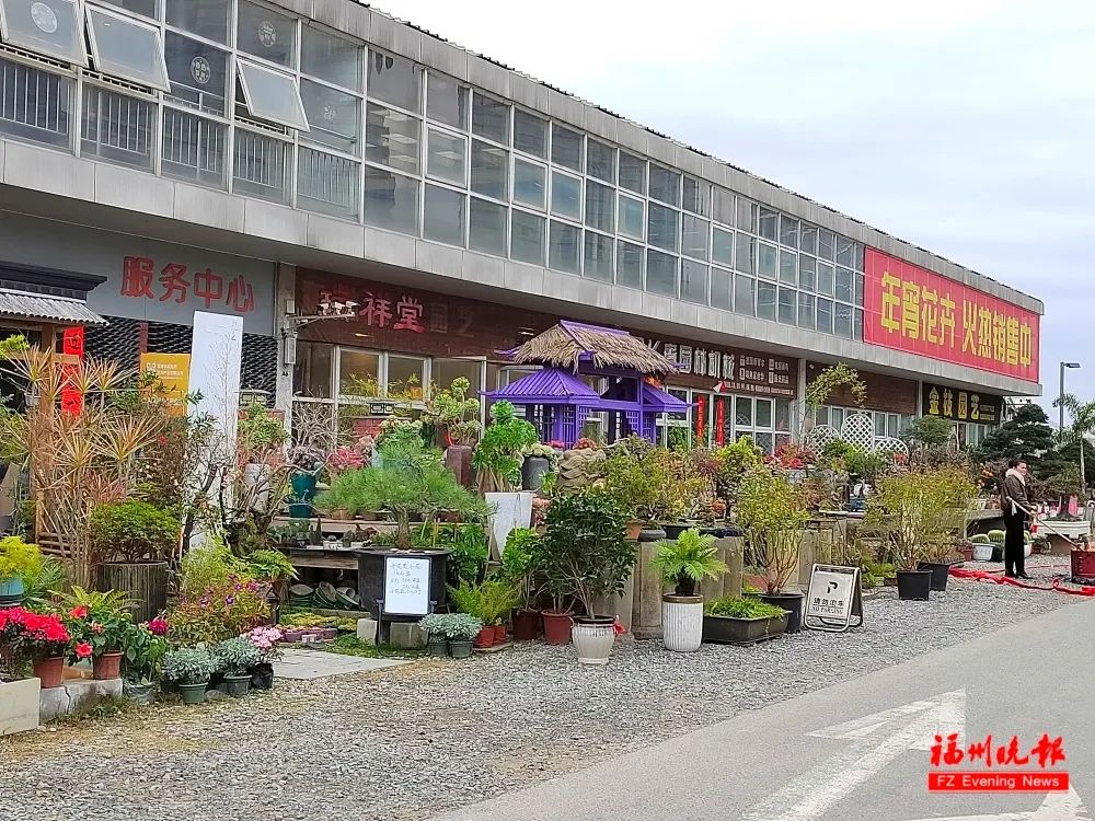 福州这座大型花卉市场拆除重建！未来将……
