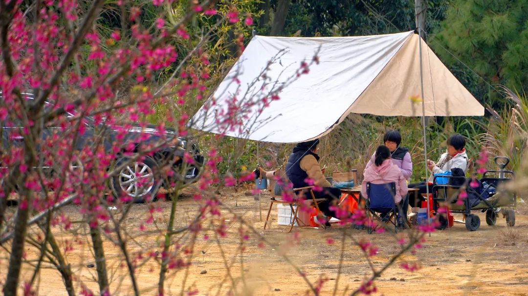 这个春日，钟石山寄来一封粉色的信
