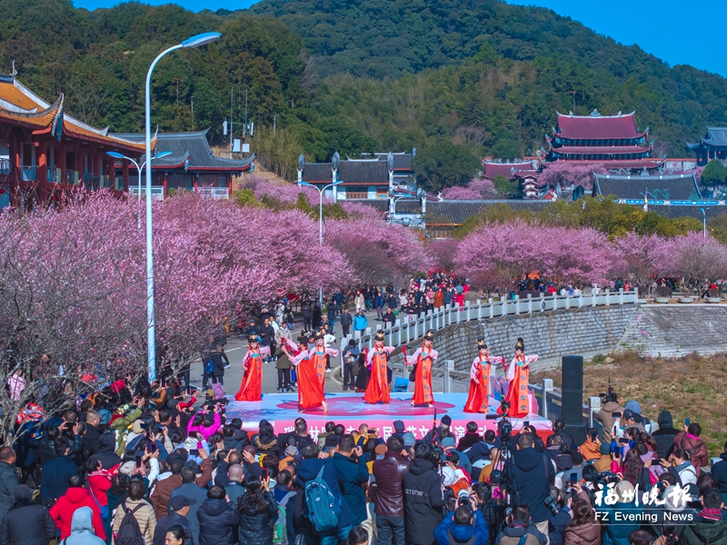 林阳寺第二届梅花文化展演活动举办 相约晋安共享“梅”好时光