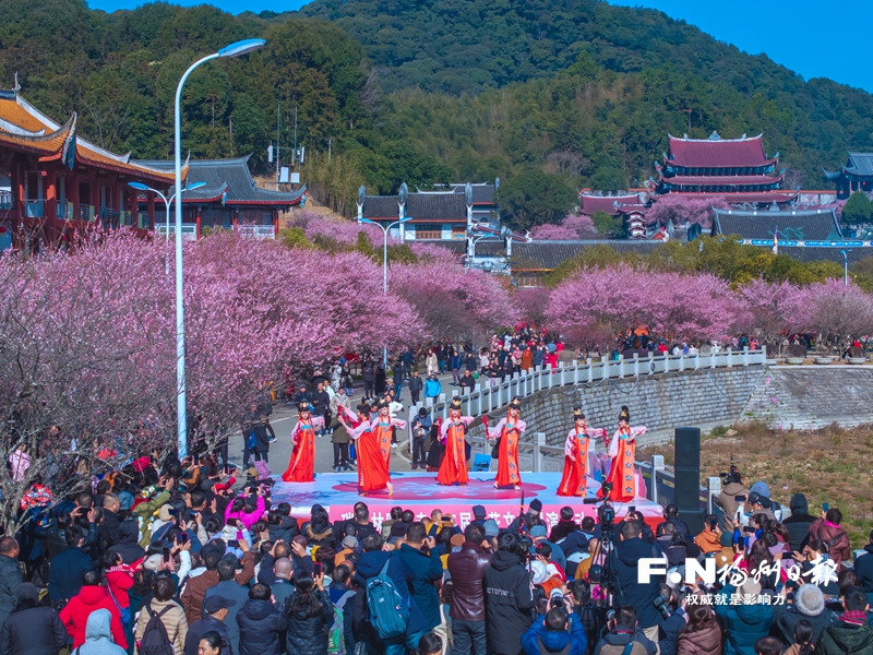 晋安：禅寺梅花绽放 红白相偕报春