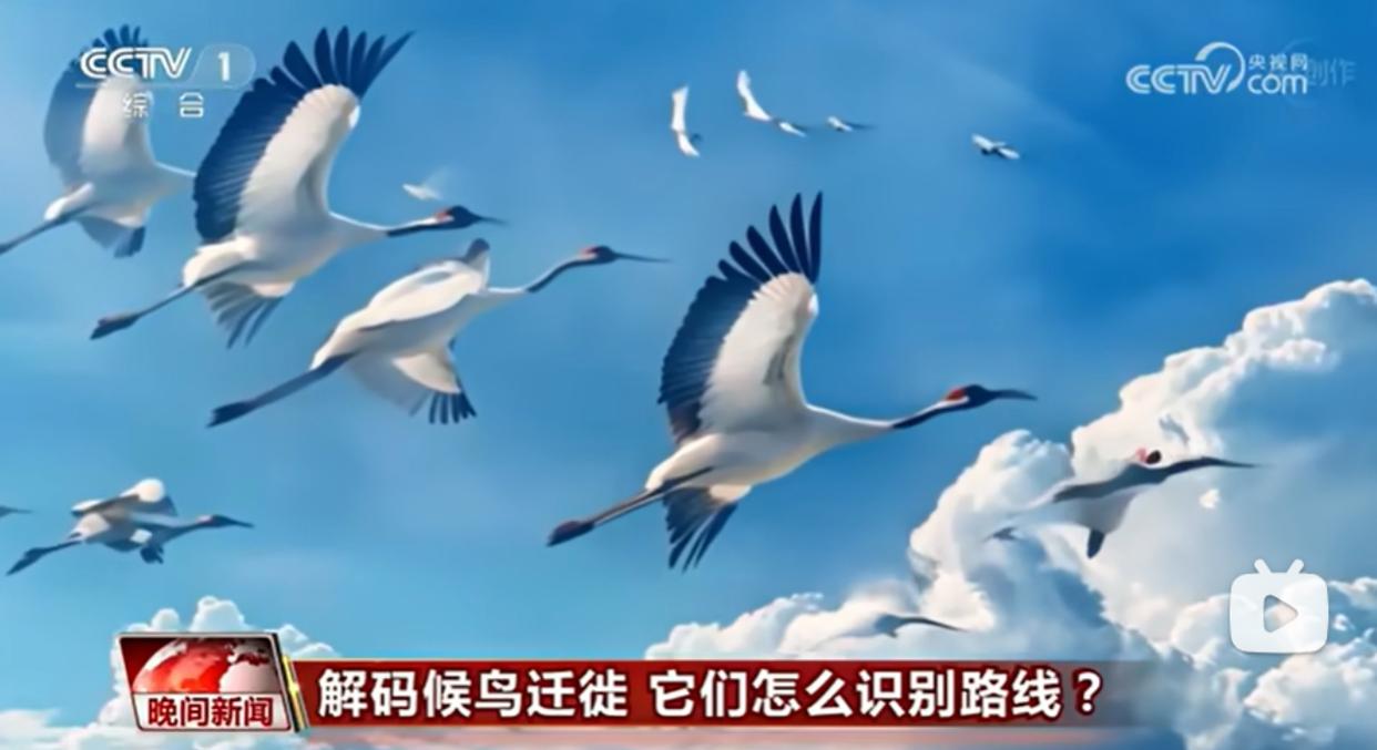 AI主持人播报0失误 播音学生碎了