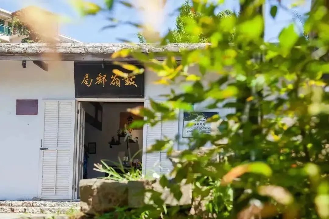 DeepSeek眼中的鼓岭原来是这样的！