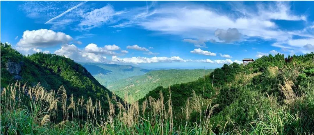 DeepSeek眼中的鼓岭原来是这样的！