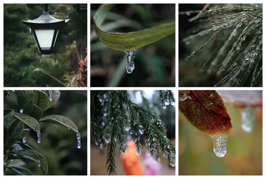 DeepSeek眼中的鼓岭原来是这样的！