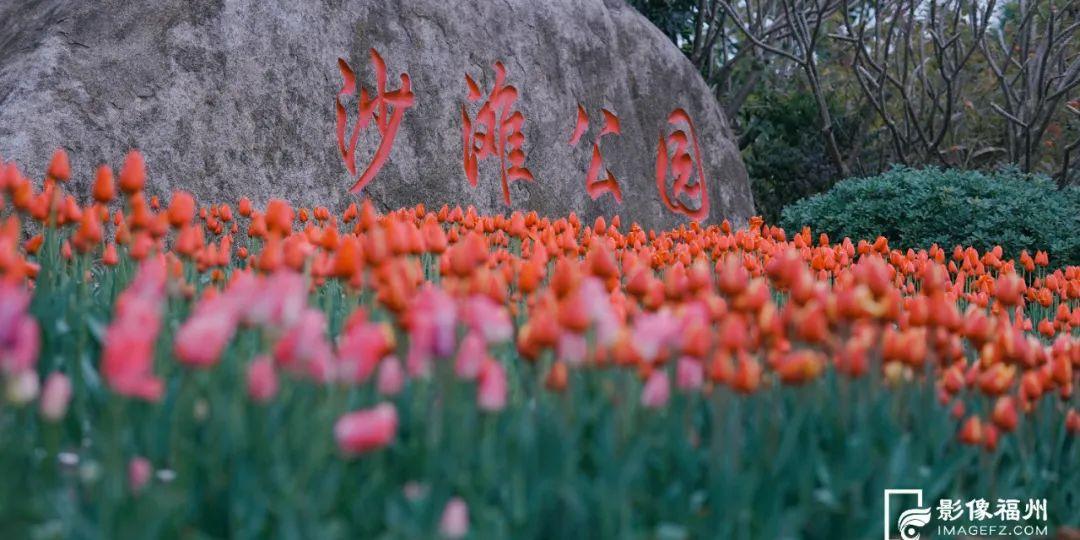 “郁”见福州的春天
