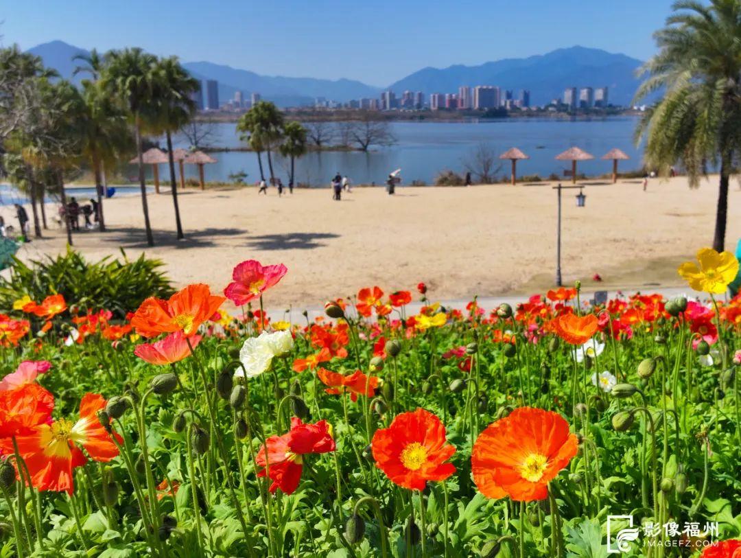 “郁”见福州的春天