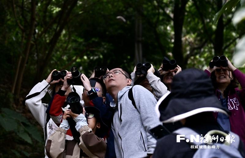 福州各大公园迎来观鸟热：鸟儿舞翩跹 尽显生态美