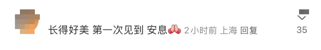 太突然！20岁女歌手离世，清华本科生，年初一才登上华人春晚