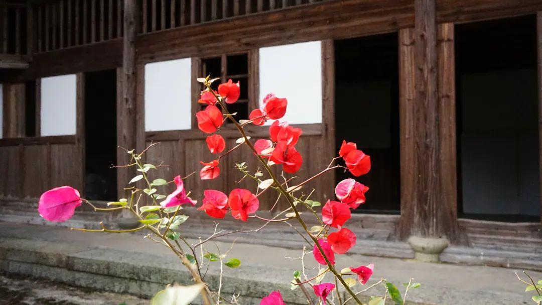 走进传统村落 | 金沙镇下林村卜兴坊：岁月沉淀的文化瑰宝