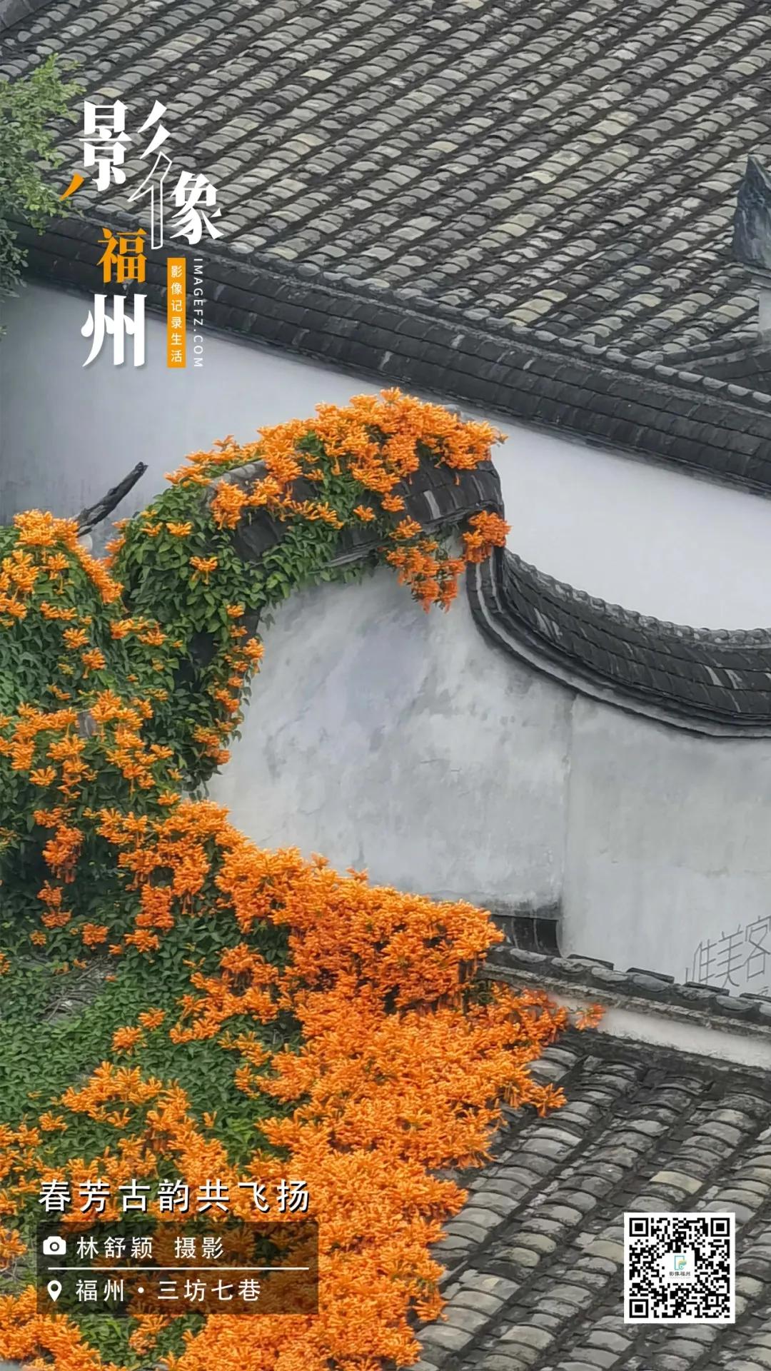 影像福州｜春芳古韵共飞扬
