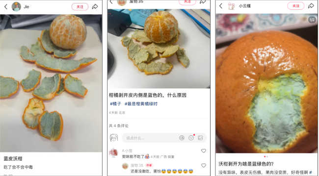 买到的橘子果皮变蓝是发霉了吗？还能吃吗？