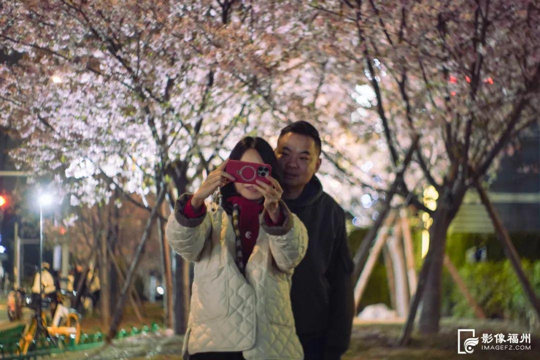 地铁直达！福州樱花大道！