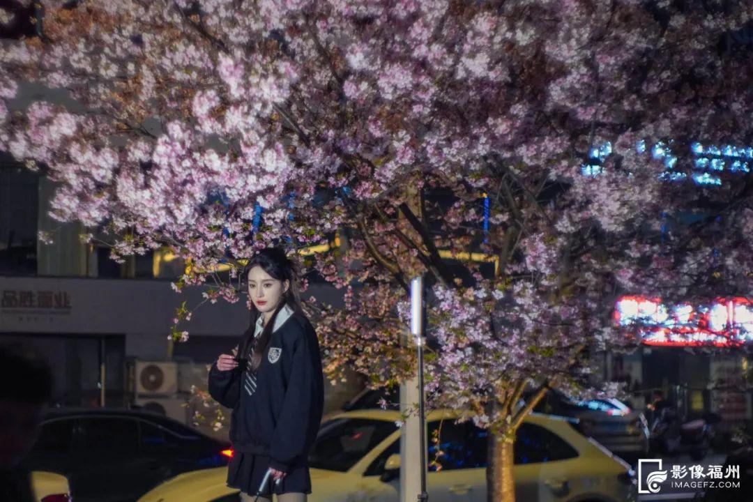 地铁直达！福州樱花大道！