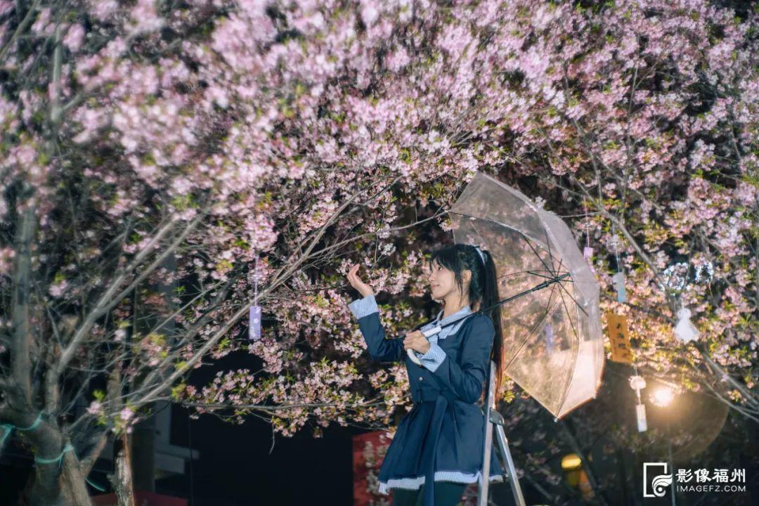 地铁直达！福州樱花大道！