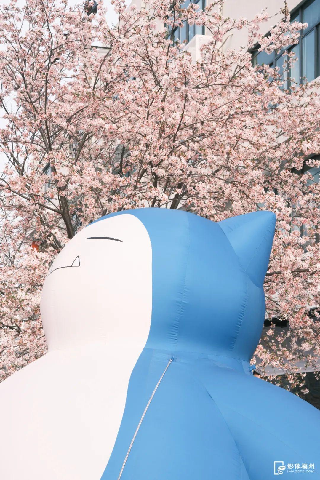 地铁直达！福州樱花大道！